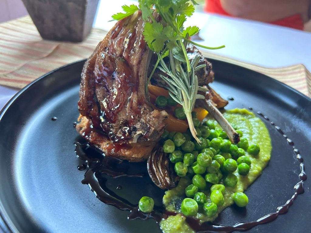 Dinner plate